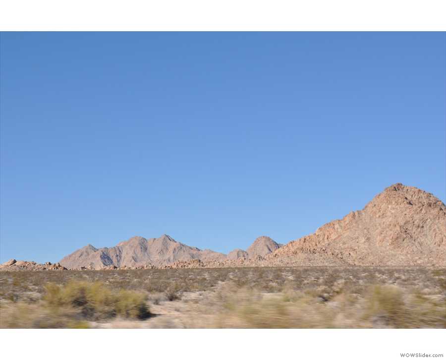 I'm now driving along the north edge of Joshua Tree, seen here to the left of the road...