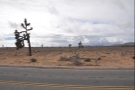 The Joshua trees were closer on the other side of the road.
