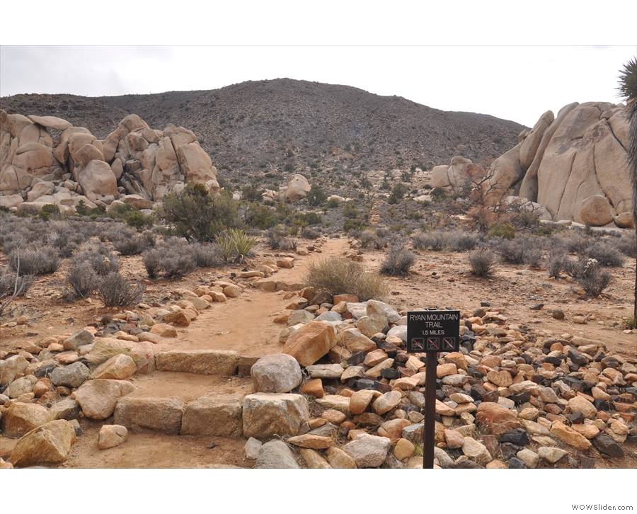 And here's the trailhead, with the Ryan Mountain Trail heading off to the south.
