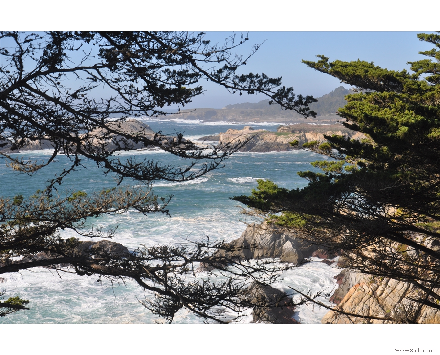 ... where I'd really come to look at the ocean. This is the view north towards Point Lobos...