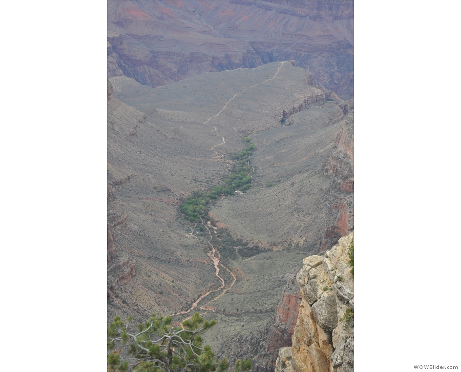 ... the top of. Down below, Bright Angel Trail leads to Indian Garden (the stand of trees).
