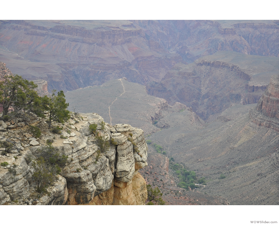 ... the valley that the Bright Angel Trail follows. The wooded area in the foreground...