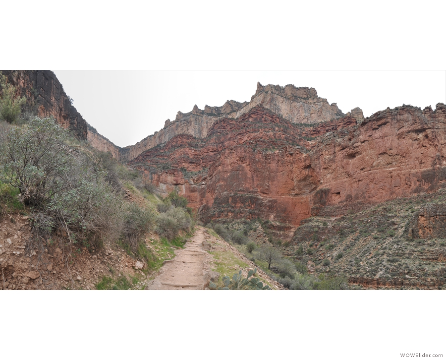 One of the many times I looked back and thought: how did the trail get down from there? There, by the way, being the trailhead at the dip in the rim above/to the left of the path.