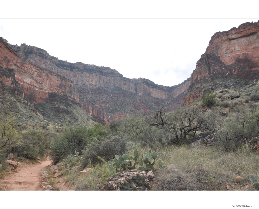 Pretty much all of the Bright Angel Trail is in this shot, from the path at my feet...