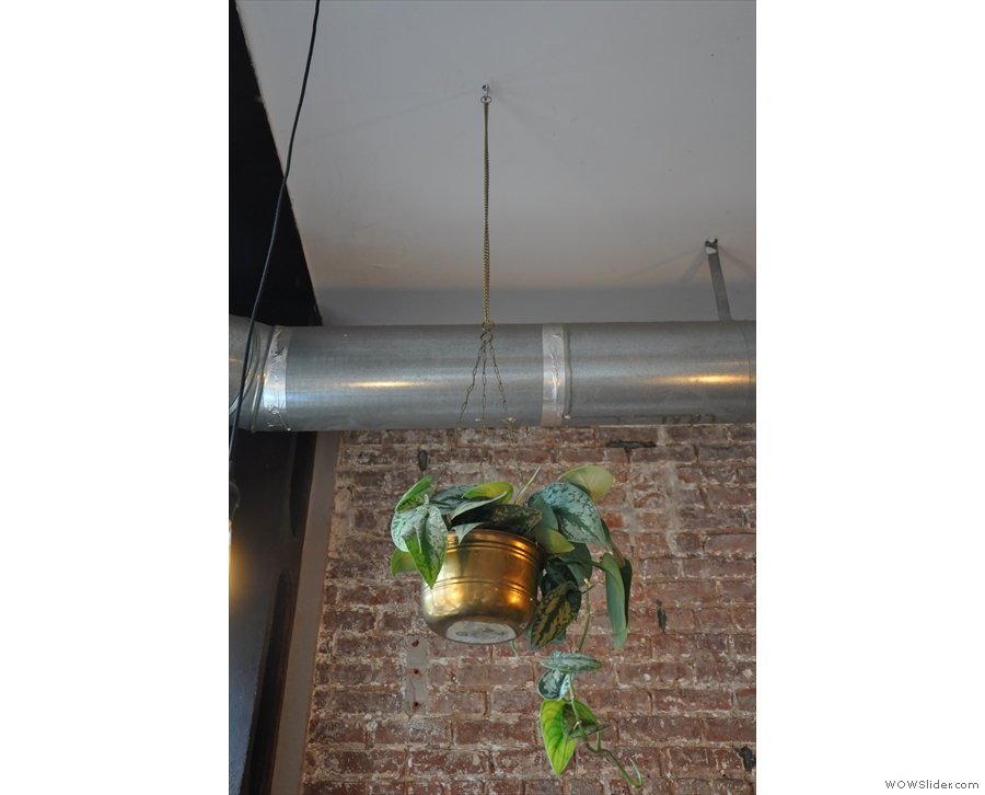 In fact, Bluebird is full of great little touches, such as this plant hanging from the ceiling.