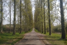 The approach to Umberslade Farm/Espresso Farm is down this long, tree-lined avenue...