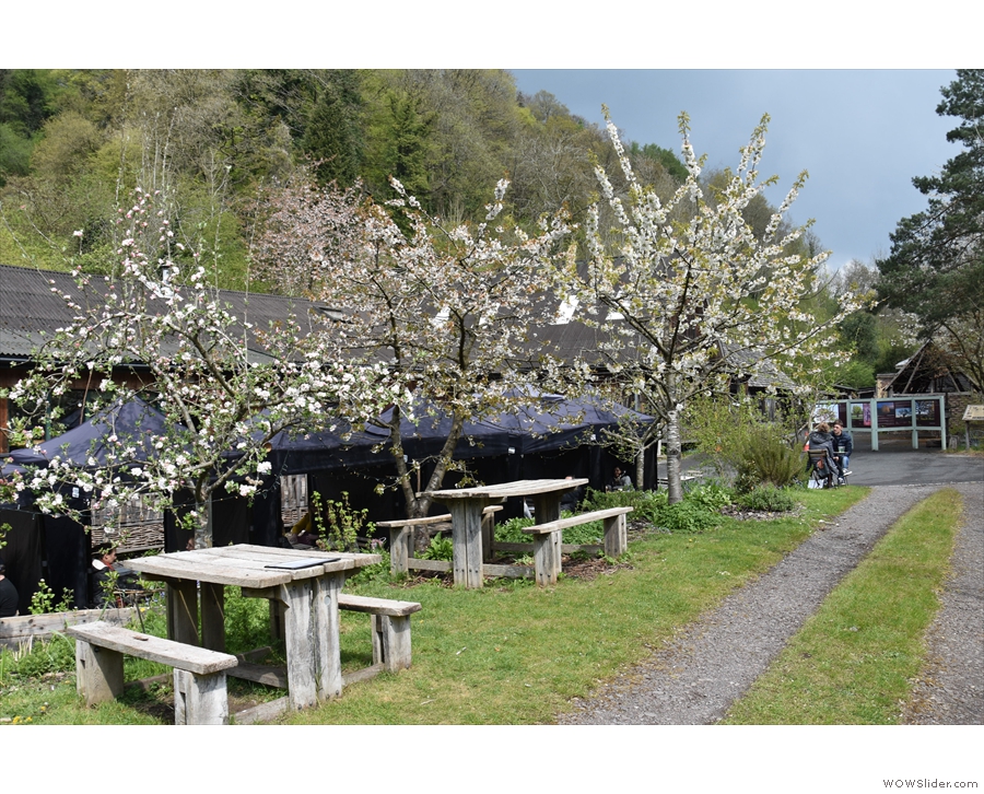 ... in amongst the apple trees. There are two four-person picnic tables...