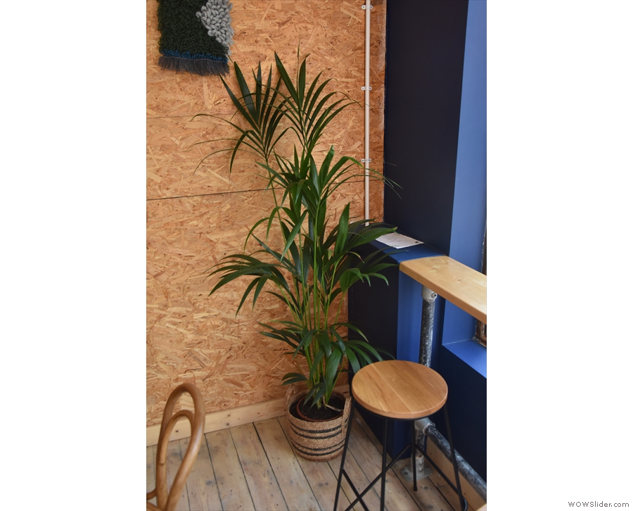 Although there's a lot of brick and chipboard, Garden Social has plenty of plants too.