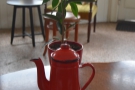 Our coffee in the cup, with a plant in the background for artist merit.