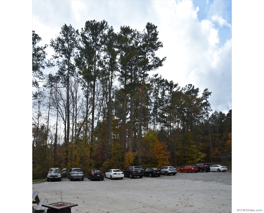 ... but the drive takes you past it to this large parking lot at the back (with more trees!).