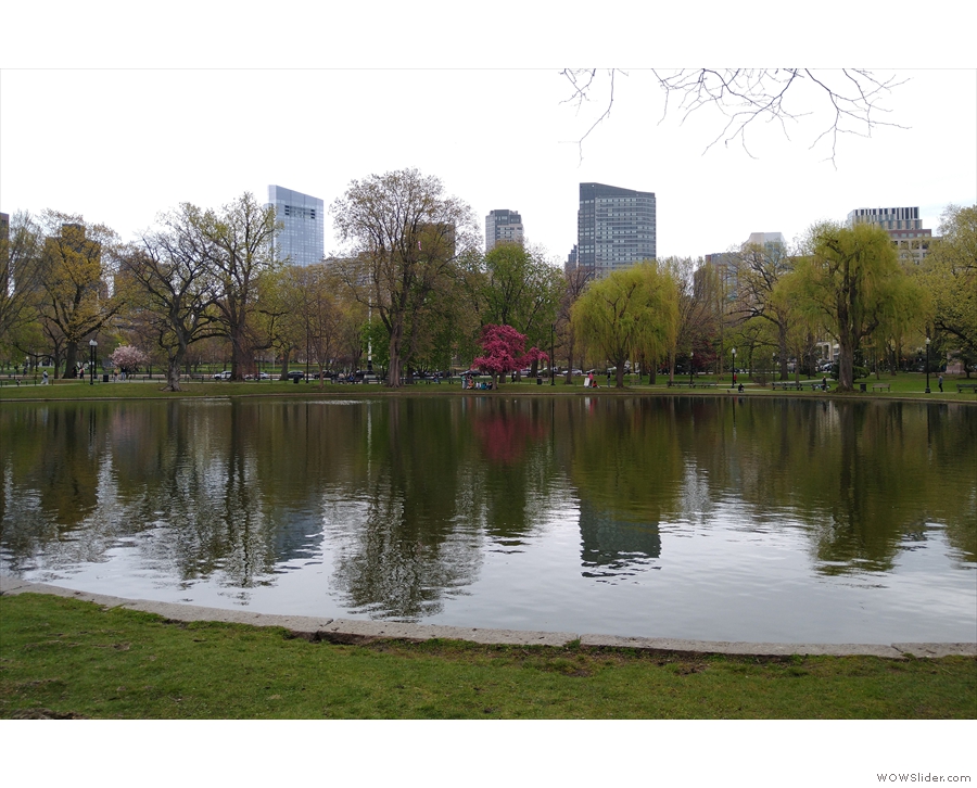 ... Public Garden at the western end of Boston Common, where the trees...