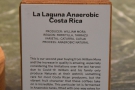 ... beans on batch brew, but Bonanza's different with this La Laguna Anaerobic from...