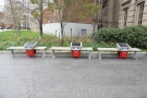 ... these three benches. The red things are solar-powered USB recharging stations.