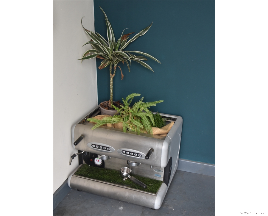 ... take a look at the old espresso machine in the entrance foyer, which is now a plant pot.