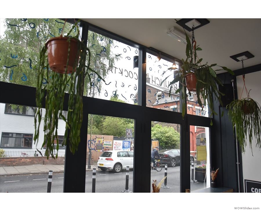 Press Bros. is a green space, with lots of hanging plants in the windows.