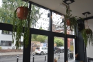 Press Bros. is a green space, with lots of hanging plants in the windows.