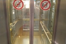 This time I decided to take the lift down from the platform.