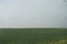 ... there's a lot more farmland than before.