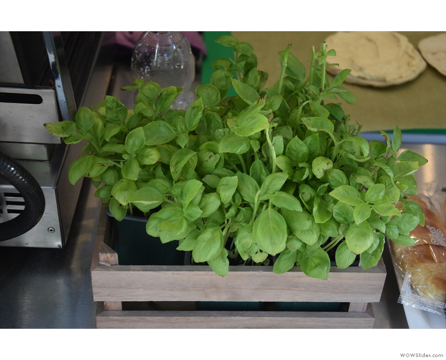 The basil growing on the counter is a nice touch. Fresh basil is always so much nicer.