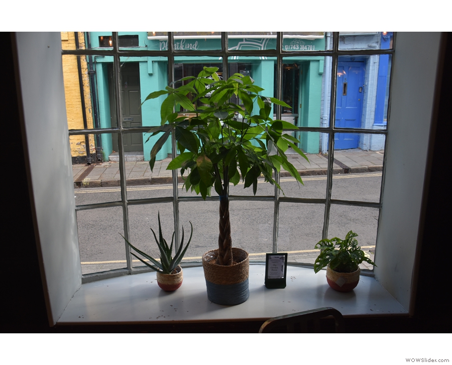 It's a beautiful space, with many nice touches, including these plants in the bay window.