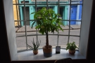 It's a beautiful space, with many nice touches, including these plants in the bay window.