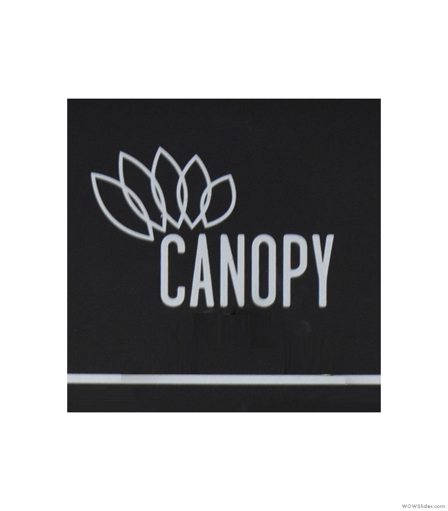 Canopy Coffee, an old friend in Guildford, under new management but in the same space.