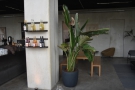 There's another communal table, which is behind this potted plant.
