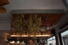 It's also worth looking up, where plants hang from the ceiling.