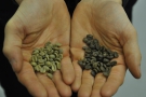 We also talked beans: here the effect of decaffeination on green beans. Decaf on the right.