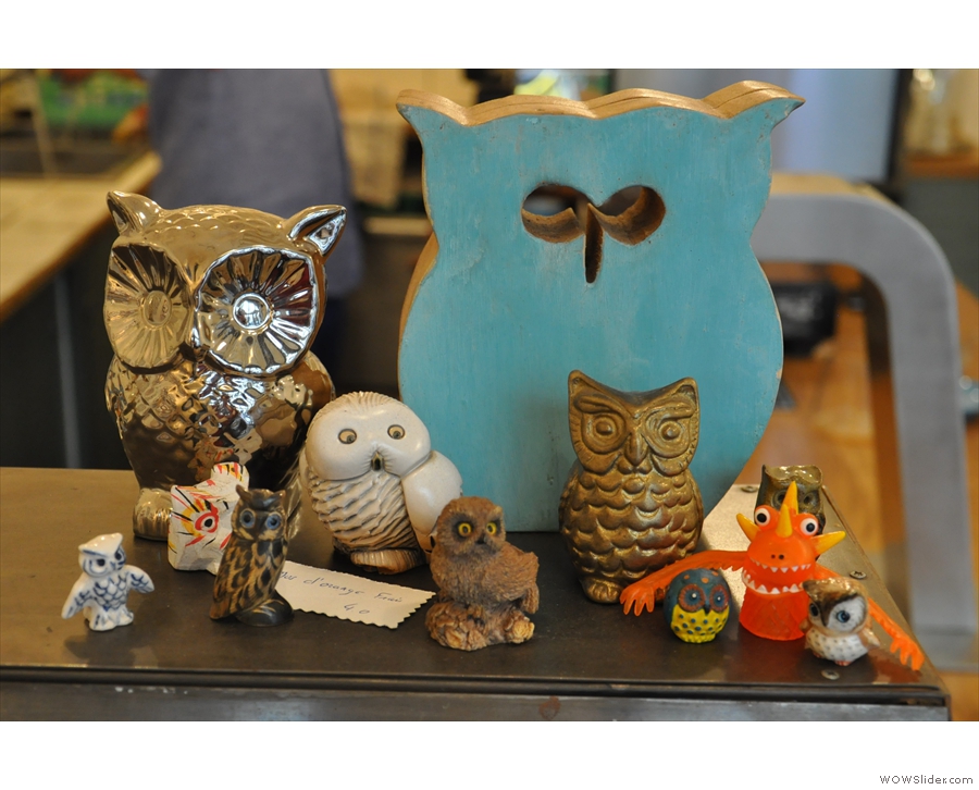 There are also owls. Every coffee shop should have an owl or two...