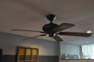 However, I might switch my allegiance to ceiling-fans...