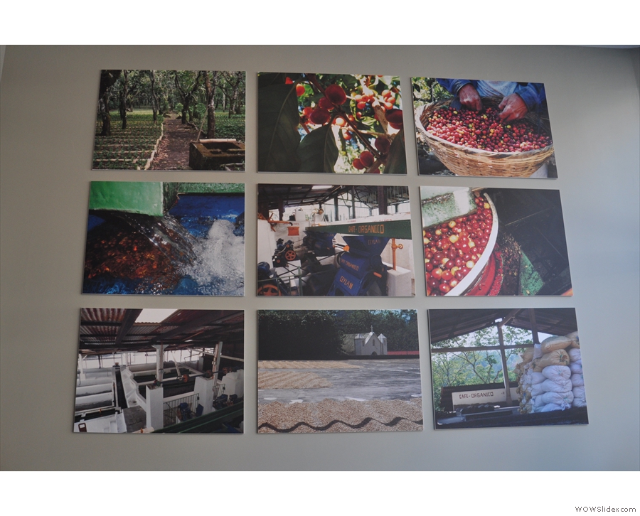 ... while the pictures on the walls are all from coffee farms that Bard deals with.