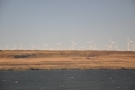 ... which is populated by a lot of these: massive wind-farms.