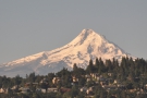 Not only Oregon's highest mountain, Mt Hood's the most prominant, lacking any neighbours.