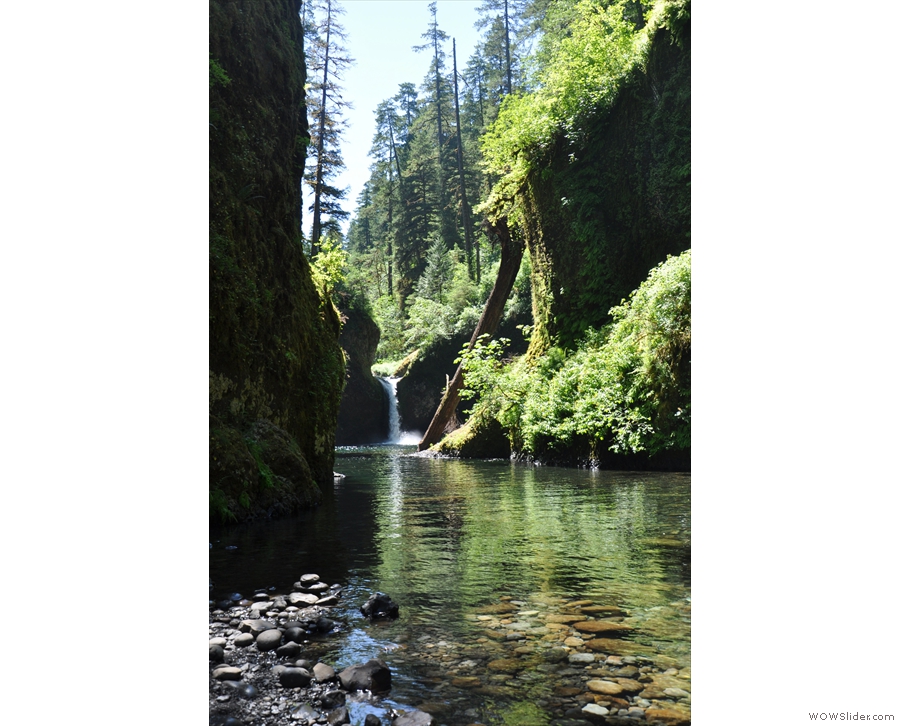 This is what he was looking at, the upper Punchbowl Falls.