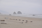 ... I believe that the rocks disappearing into the sea fog are Silver Point and Jockey Cap.