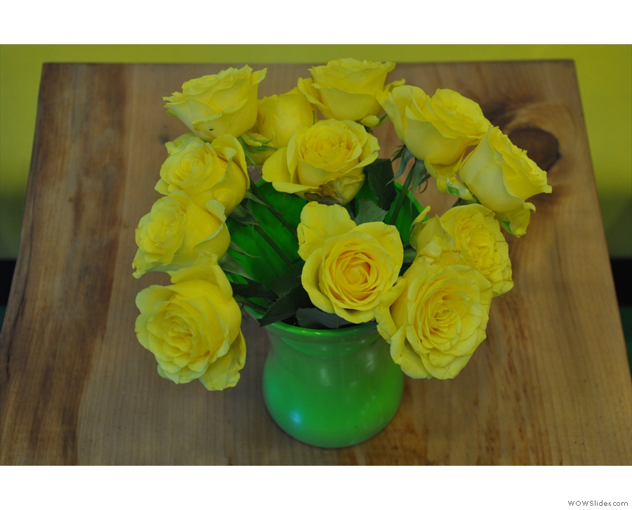 ... while these yellow roses were there on my return.
