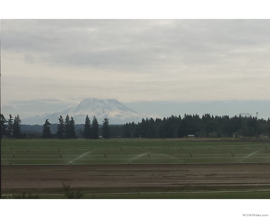 My first view of Mt Rainer, decapitated by a layer of cloud & a staggering 80 kilometers away!