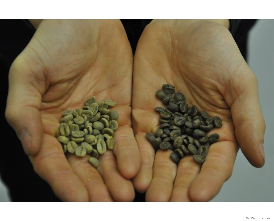 To decaf or not? It certainly takes more than just caffeine out of the beans: decaf green beans (on the right) are grey! [Picture taken at North Star Micro Roasters]