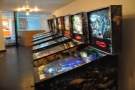 Another view of the pinball machines, this time looking back towards the doors.