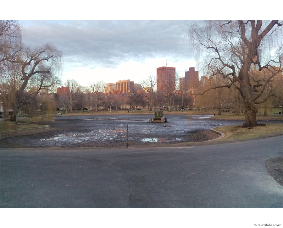 From there, I wandered over to the Boston Public Garden, next to Boston Common.