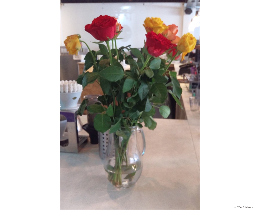 Meanwhile, these roses were on the end of the counter.